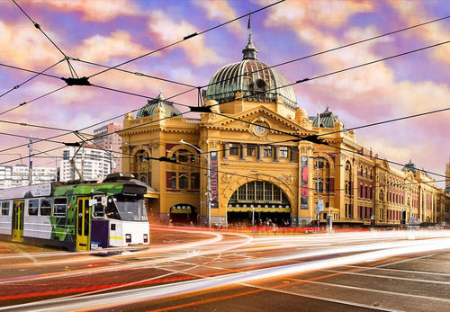 Finding Flinders - 1000 Piece Adult's Jigsaw Puzzle