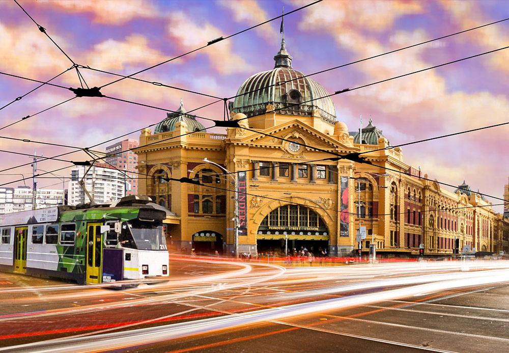 Finding Flinders - 1000 Piece Adult's Jigsaw Puzzle