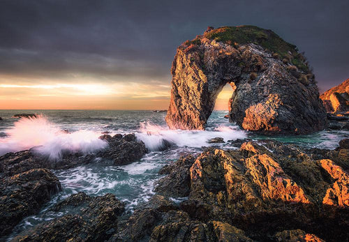 Horse Head Rock - Australia 1000 Piece Adult's Jigsaw Puzzle